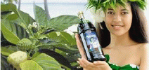 Нони Noni MLM