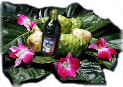  Noni TAHITIAN Noni MLM Noni-Best